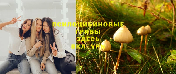 круглые Алзамай