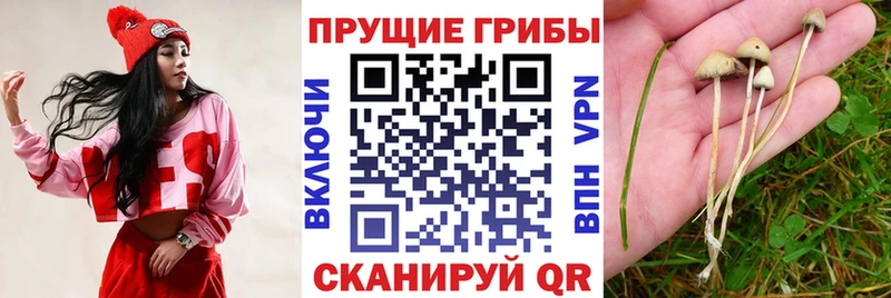 Галлюциногенные грибы MAGIC MUSHROOMS  Ачинск 