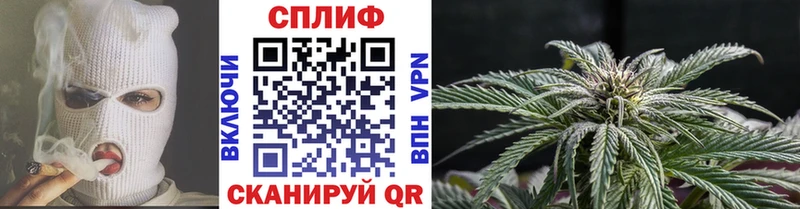 mega   где найти наркотики  Ачинск  Бошки Шишки THC 21% 
